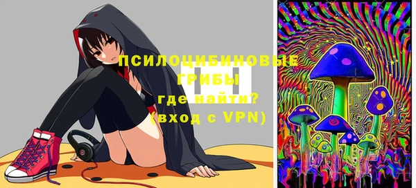прущие крисы Арсеньев